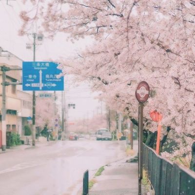 铁路部门多措并举保障暑期学生旅客运输 预计学生流达六百五十万人次