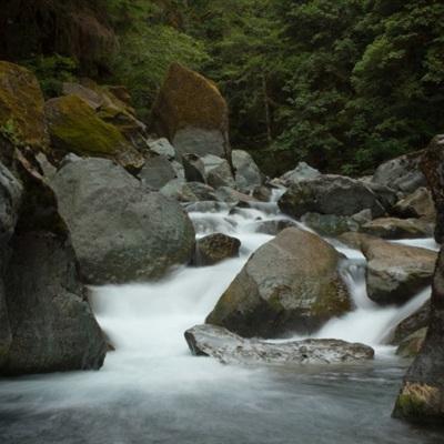 【应急救援基层行】大别山腹地绽放“火焰蓝”