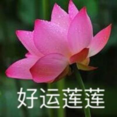 期待更多综艺呈现文化之美（文化只眼）